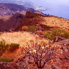 Hiking in Teno mountains