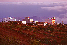 Fincas in smooth evening light