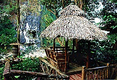 Jungle Lodge in Khao Sok National Park