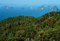 Blick vom Tup Keak auf die Hong Inseln