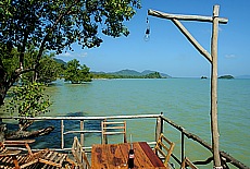 Mangrove swamp in Old Lanta Town