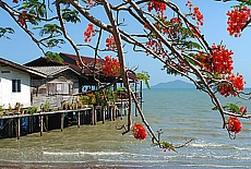 Pile dwellings in Old Lanta Town