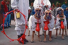 Dog carnival at Chinese tower in english garden