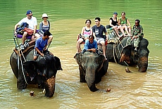 Elephant riding