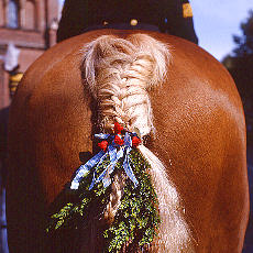 Artful plaited ponytail