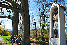 Scenic path at Kustermann Park in Tutzing