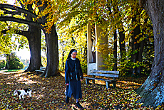 Scenic path at Kustermann Park in Tutzing