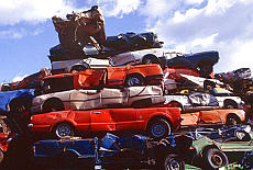 Auto graveyard