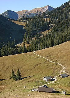 Stepbergalm and Kramerspitze