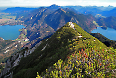 Lookout from Herzogstand to Lake Kochel and Walchensee