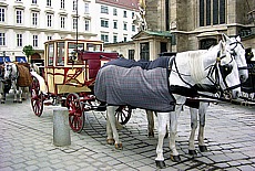 Viaker in the narrow streets near Stephansdom