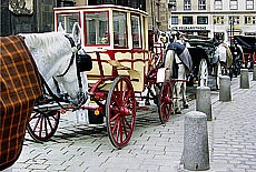 Viaker in the streets at Stephansdom