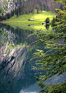 Zauberwald am Obersee des Knigssees